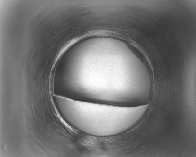 X0000086251437200703291023