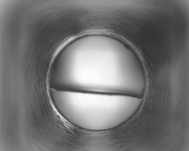 X0000086251440200703291023