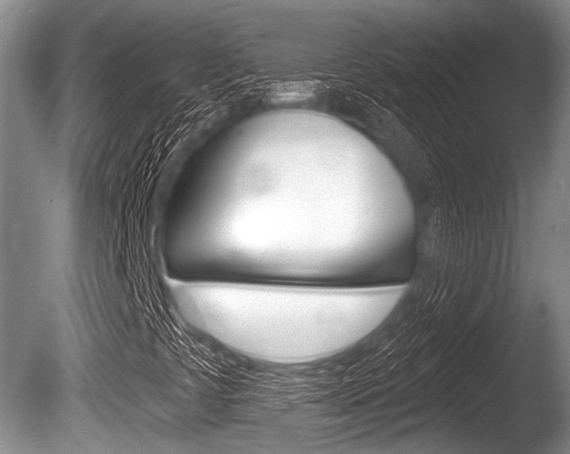 X0000086251441200703291023