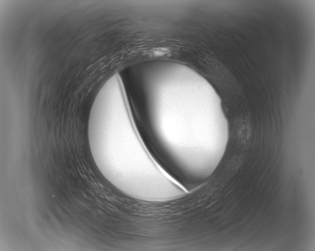 X0000086251442200703291023