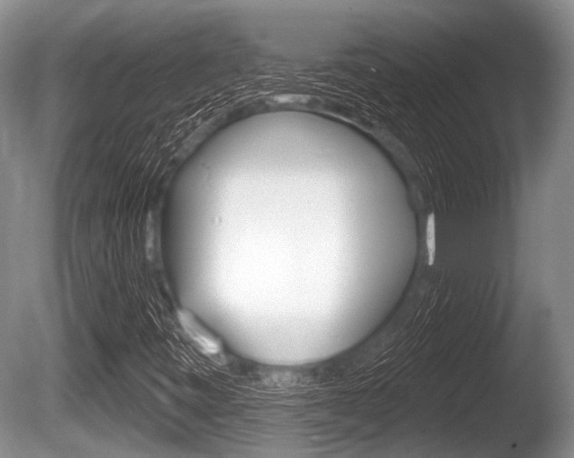 X0000086251443200703291023