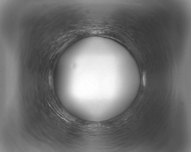 X0000086251444200703291022
