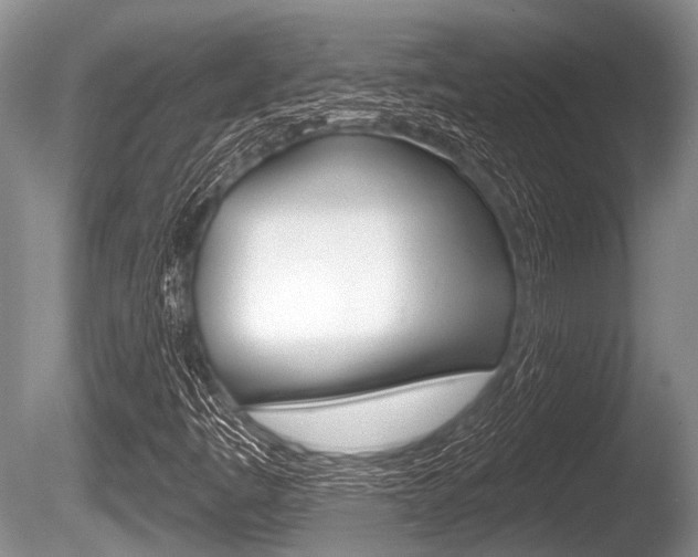 X0000086251445200703291022
