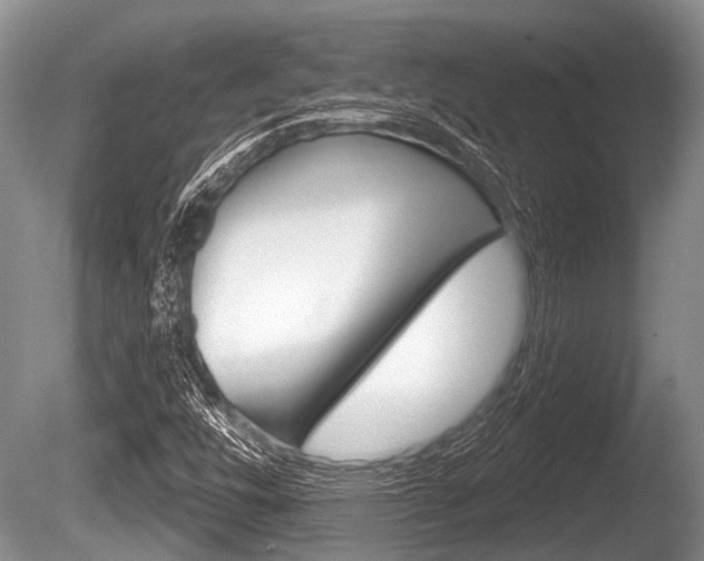 X0000086251448200703291022