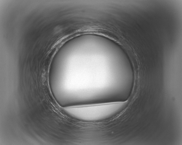 X0000086251449200703291022