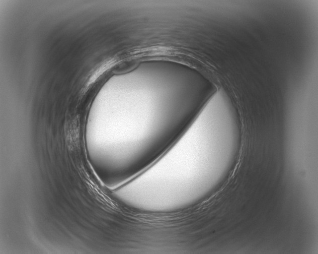 X0000086251450200703291022