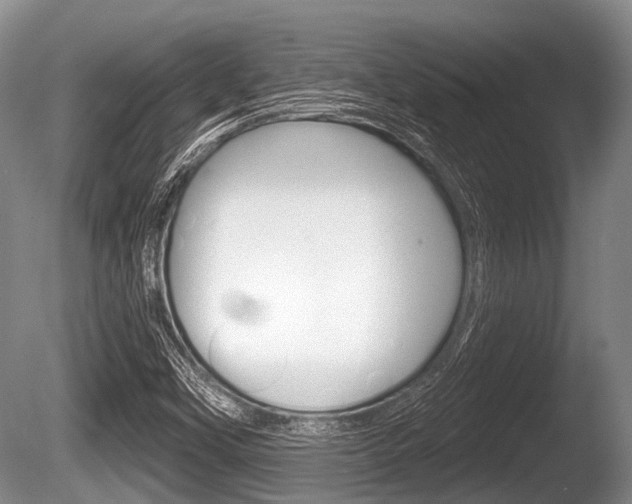 X0000086251451200703291022
