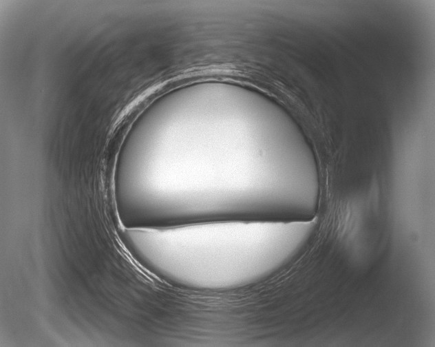 X0000086251452200703291022