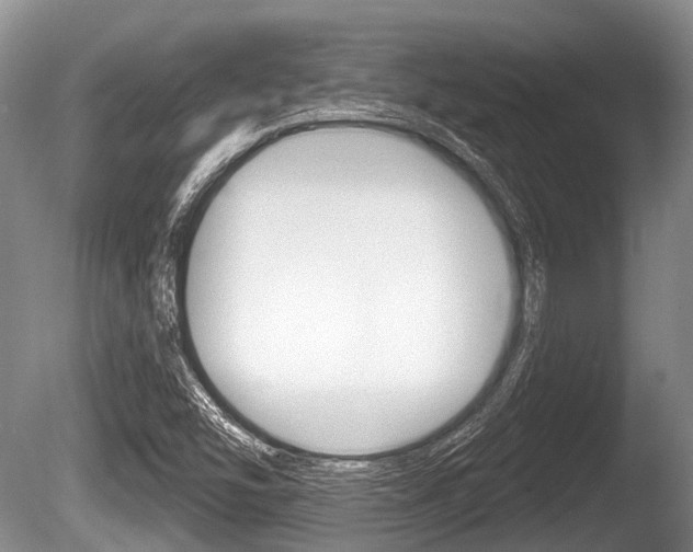 X0000086251454200703291022