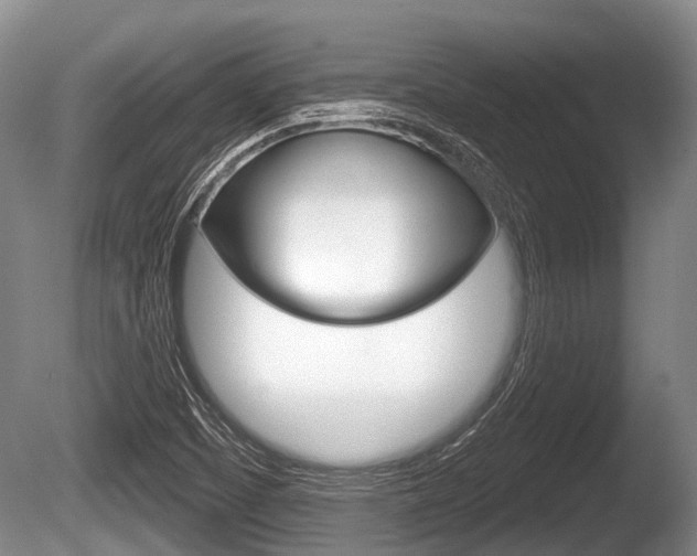 X0000086251457200703291022