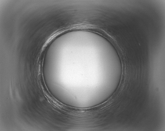 X0000086251459200703291022