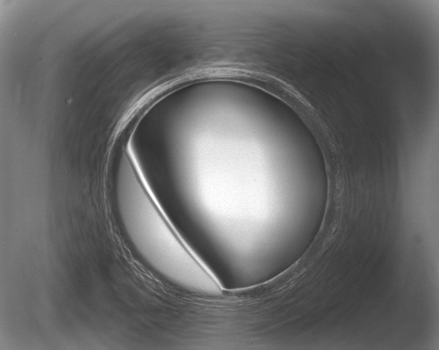 X0000086251461200703291022