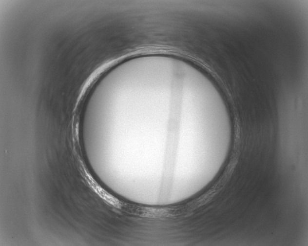 X0000086251462200703291022