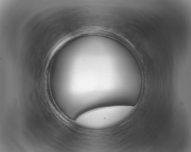 X0000086251463200703291022