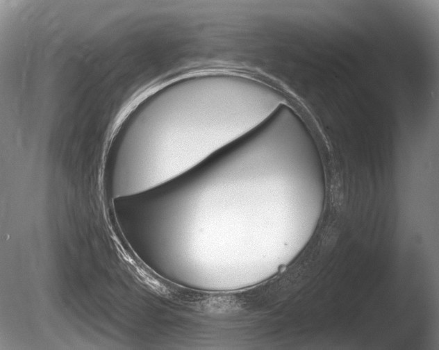 X0000086251464200703291022