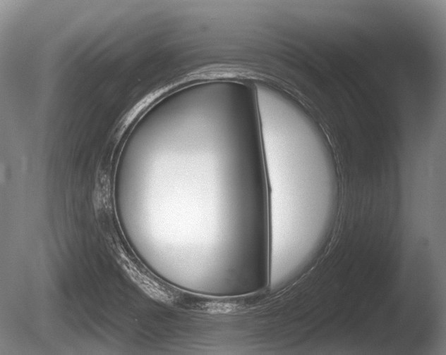 X0000086251465200703291022