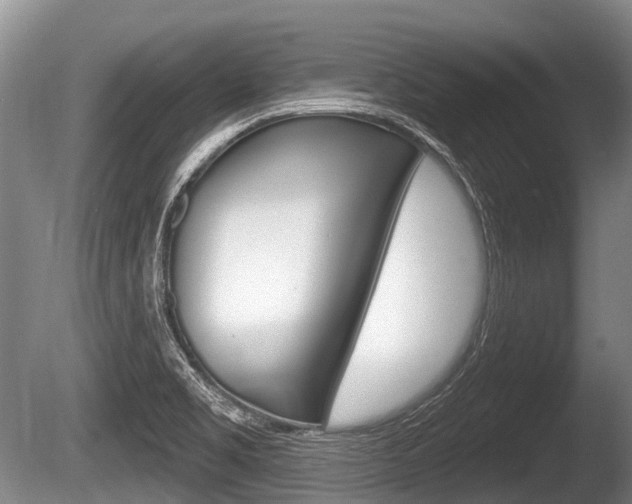 X0000086251469200703291022