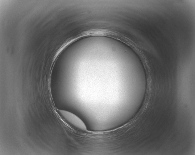 X0000086251473200703291022