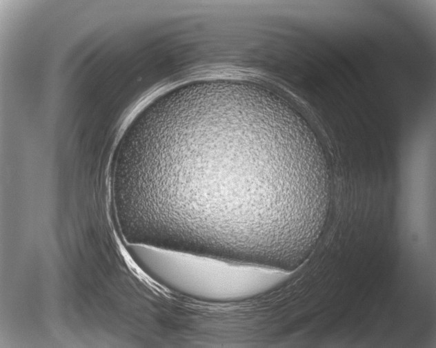 X0000086251479200703291022