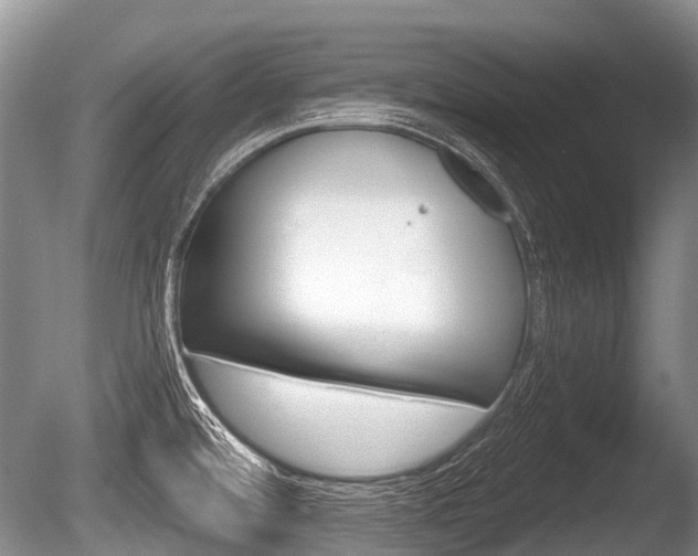 X0000086251480200703291022