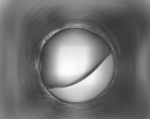 X0000086251481200703291022