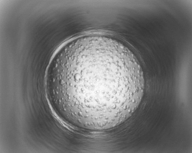 X0000086251483200703291022