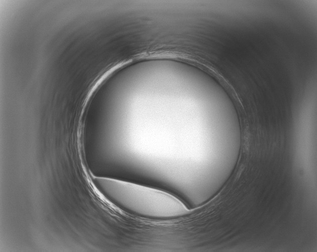 X0000086251484200703291022