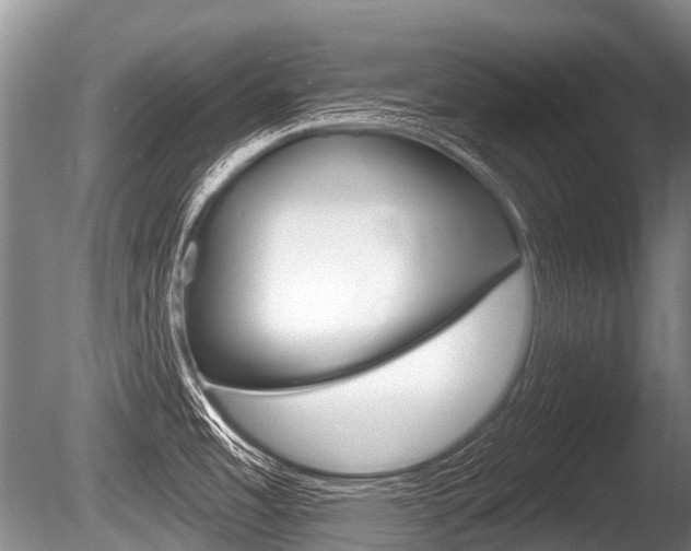 X0000086251485200703291022