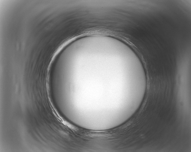 X0000086251486200703291022
