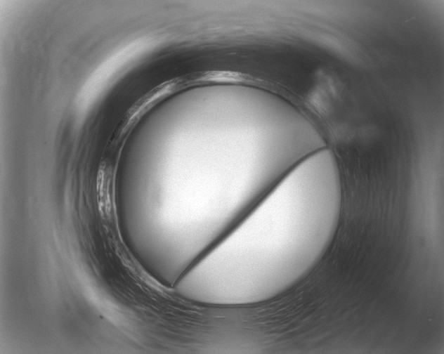 X0000086251487200703291022