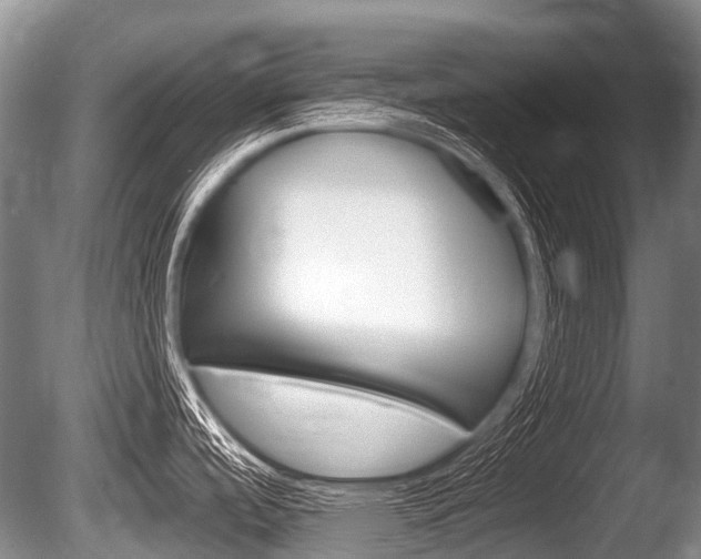 X0000086251488200703291022
