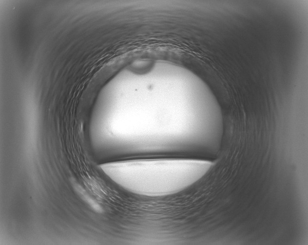 X0000086251489200703291021