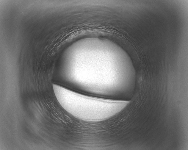 X0000086251490200703291021