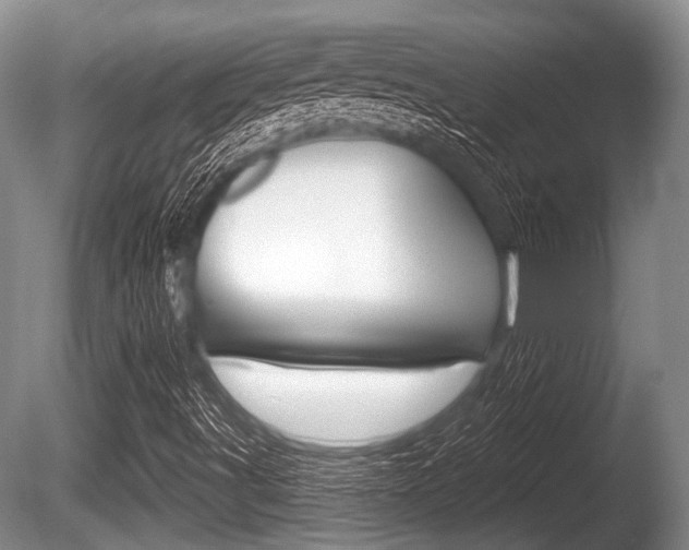 X0000086251491200703291021