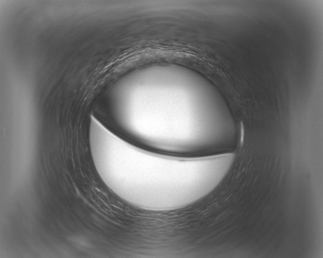 X0000086251492200703291021