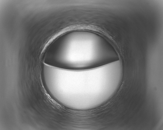 X0000086251500200703291021