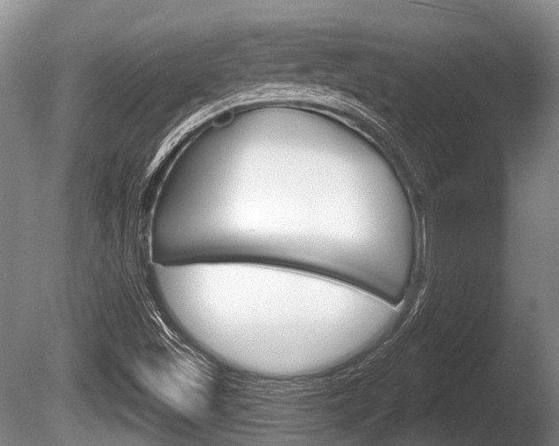 X0000086251501200703291021
