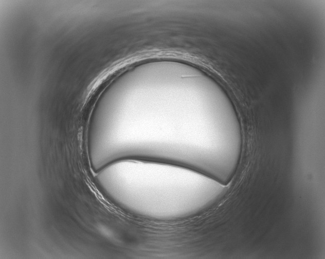 X0000086251503200703291021