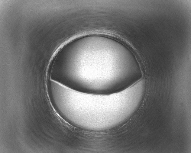 X0000086251508200703291021
