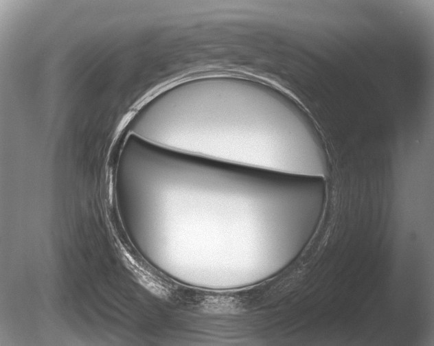 X0000086251509200703291021