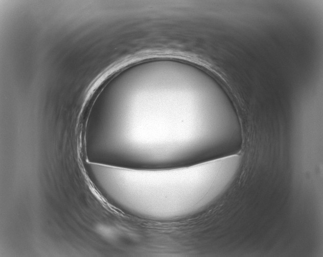 X0000086251511200703291021