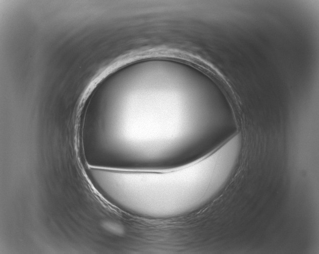 X0000086251512200703291021