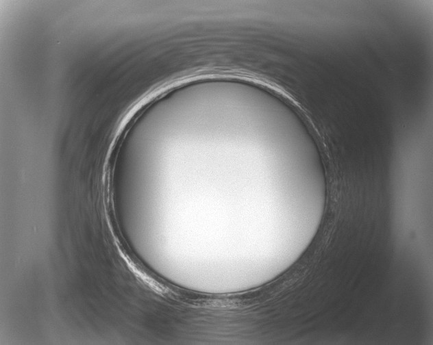 X0000086251519200703291021