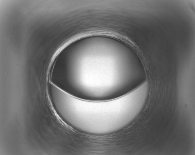 X0000086251520200703291021