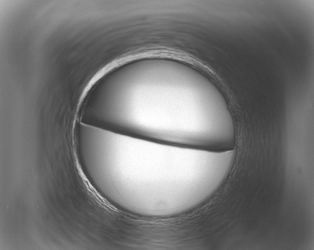 X0000086251522200703291021