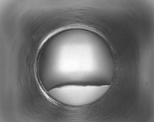 X0000086251523200703291021