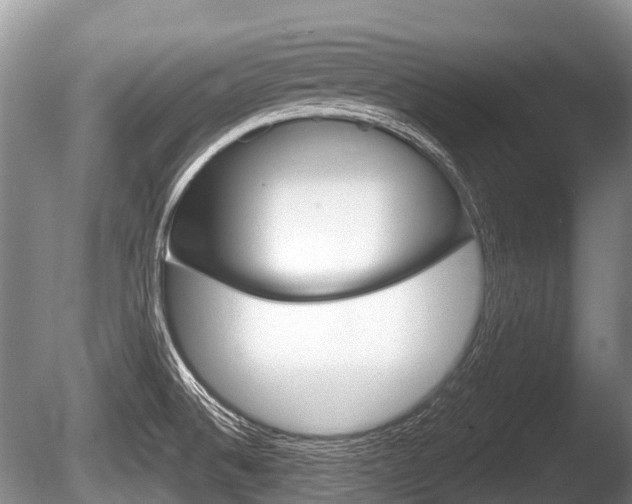 X0000086251524200703291022