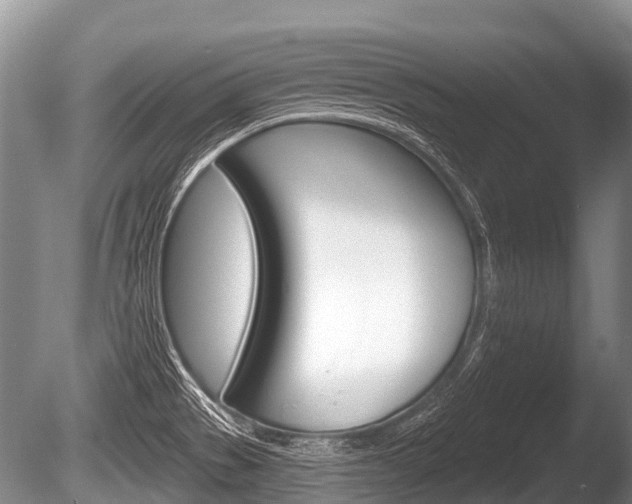 X0000086251529200703291022