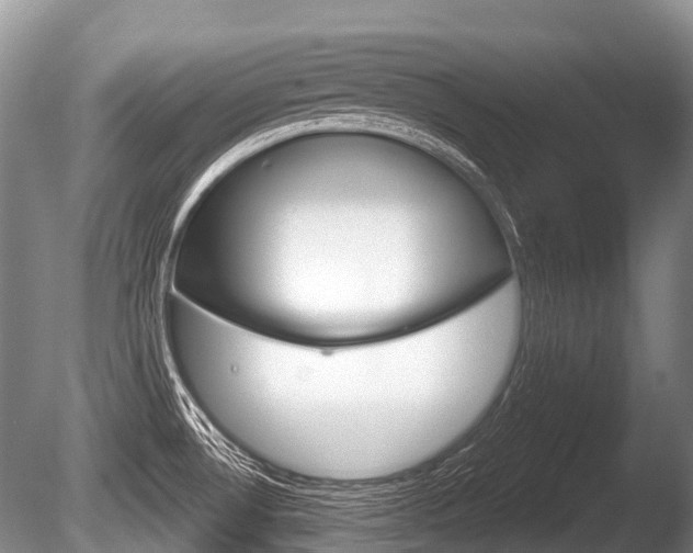 X0000086251530200703291022