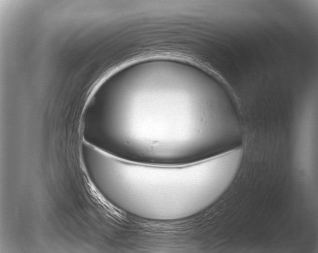 X0000086251532200703291022